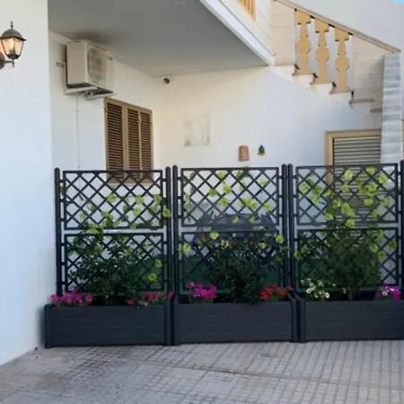לינה וארוחת בוקר Casa Di Nonna Checca B&B